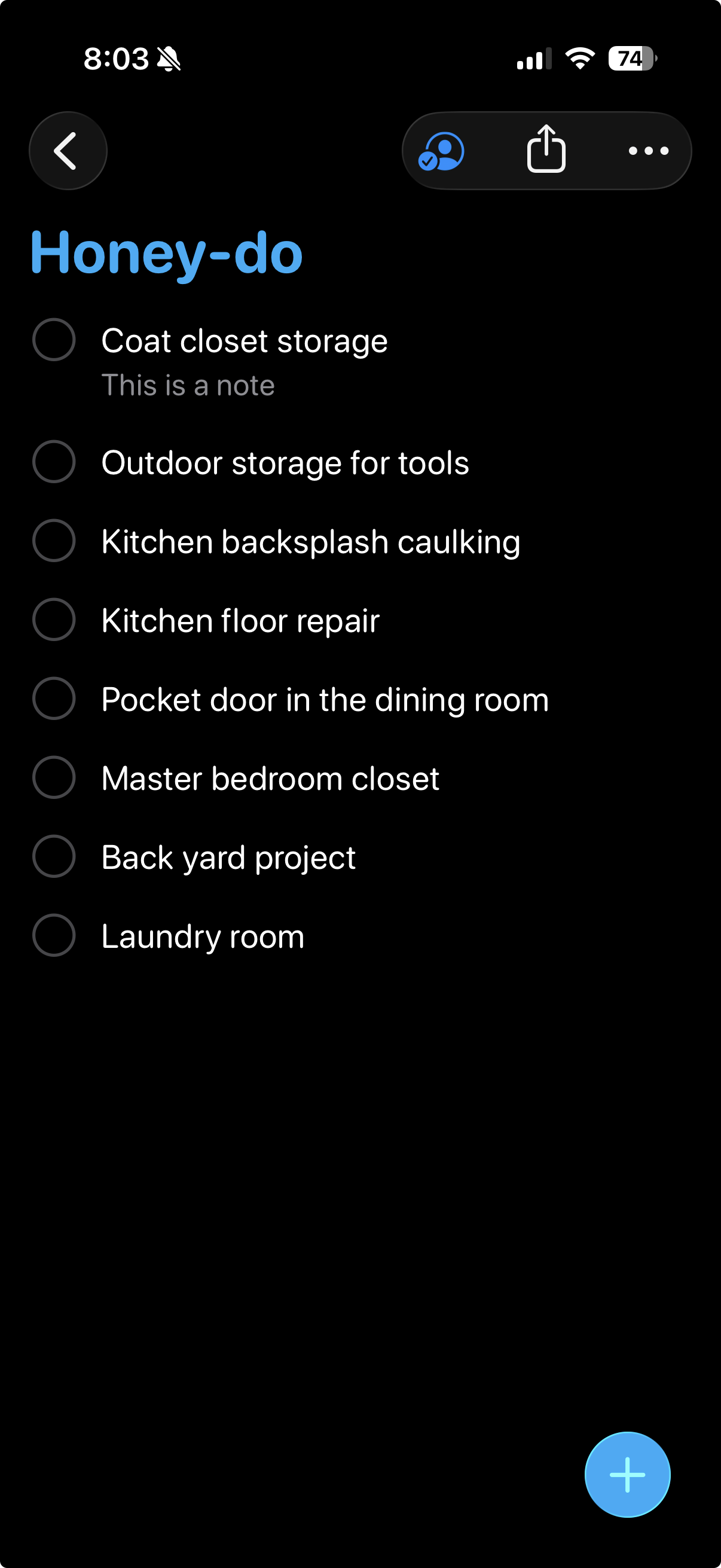 Honey-do reminders list with real home projects