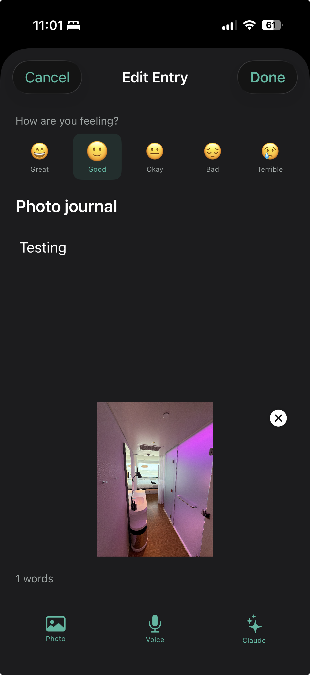 Journal entry editor with mood selector, photo, voice, and Claude integration