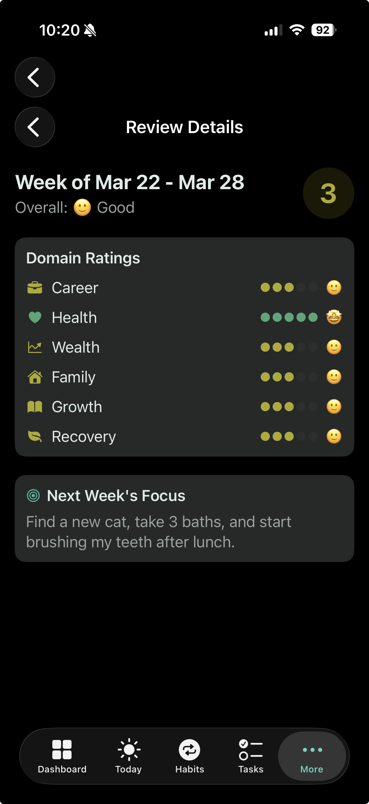 Weekly review screen with domain ratings and next week's focus